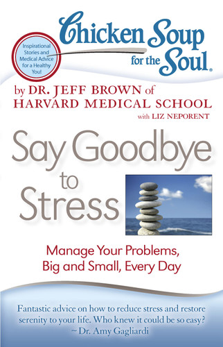 Chicken Soup for the Soul: Say Goodbye to Stress: Manage Your Problems, Big and Small, Every Day book cover by Dr. Jeff Brown