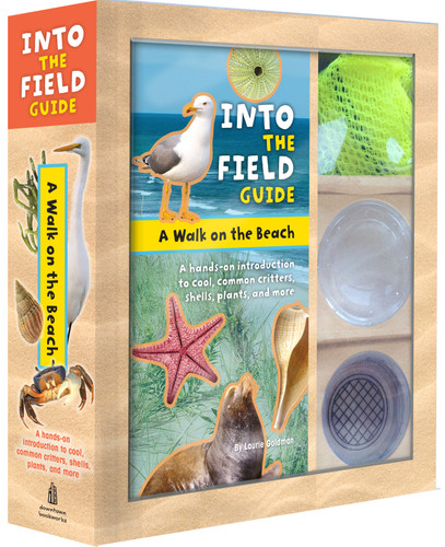 A Walk on the Beach: Into the Field Guide book cover by Laurie Goldman