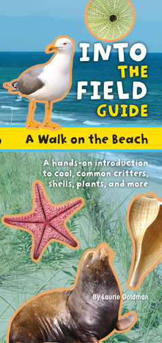 A Walk on the Beach: Into the Field Guide book cover by Laurie Goldman