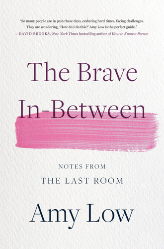 The Brave In-Between: Notes from the Last Room book cover by Amy Low