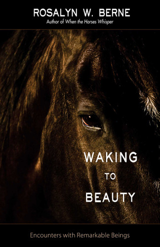 Waking to Beauty: Encounters with Remarkable Beings book cover by Rosalyn W. Berne