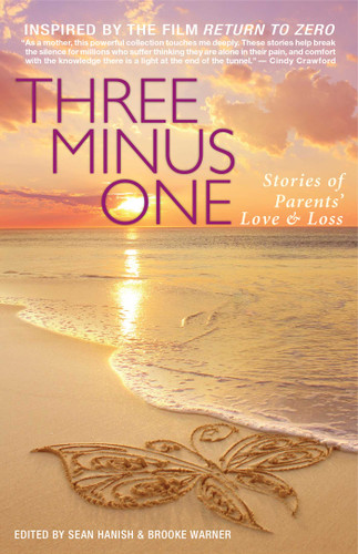 Three Minus One: Stories of Parents' Love and Loss book cover by 