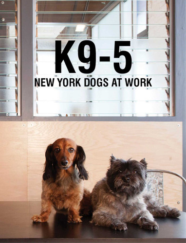 K9-5: New York Dogs at Work book cover by Michelle Rose