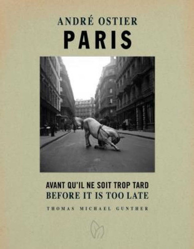 Paris, Before it is Too Late book cover by Thomas Michael Gunther