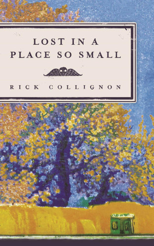 Lost in a Place So Small book cover by Rick Collignon