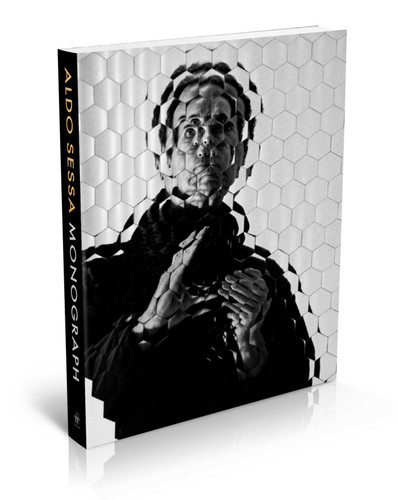 Northern Plains Native Americans Vol 2 : A Modern Wet Plate Perspective book cover by Shane Balkowitsch