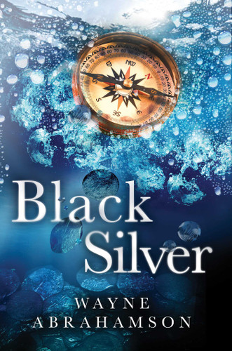 Black Silver book cover by Wayne Abrahamson