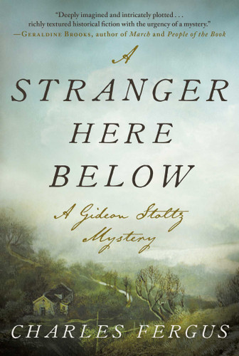 A Stranger Here Below: A Gideon Stoltz Mystery (Gideon Stoltz Mystery Series) book cover by Charles Fergus