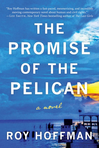 The Promise of the Pelican: A Novel book cover by Roy Hoffman