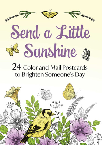 Send a Little Sunshine: 24 Color-and-Mail Postcards to Brighten Someone's Day book cover by Good Books