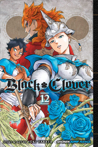 Black Clover, Vol. 12: The Briar Maiden's Melancholy (Black Clover) book cover by Yuki Tabata