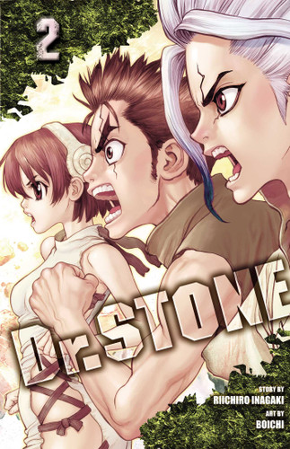 Dr. STONE, Vol. 2: Two Kingdoms Of The Stone World (Dr. STONE) book cover by Riichiro Inagaki