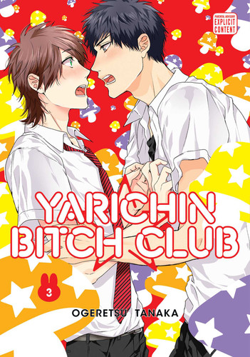 Yarichin Bitch Club, Vol. 3 (Yarichin Bitch Club) book cover by Ogeretsu Tanaka