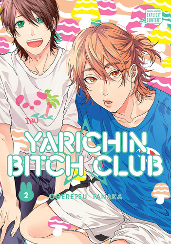 Yarichin Bitch Club, Vol. 2 (Yarichin Bitch Club) book cover by Ogeretsu Tanaka