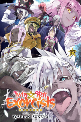 Twin Star Exorcists, Vol. 17: Onmyoji (Twin Star Exorcists) book cover by Yoshiaki Sukeno