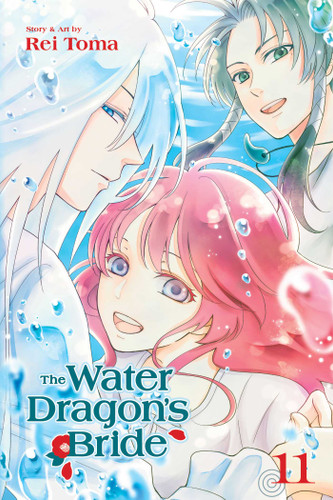 The Water Dragon's Bride, Vol. 11 (The Water Dragon's Bride) book cover by Rei Toma
