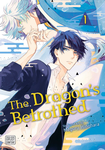 The Dragon's Betrothed, Vol. 1 (The Dragon's Betrothed) book cover by Meguru Hinohara