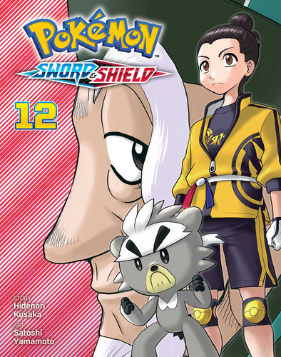 Pokémon: Sword & Shield, Vol. 12 (Pokémon: Sword & Shield) book cover by Hidenori Kusaka