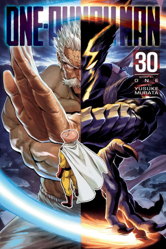 One-Punch Man, Vol. 30 (One-Punch Man) book cover by ONE
