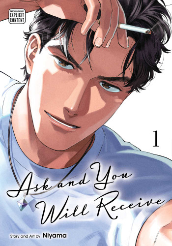 Ask and You Will Receive, Vol. 1 (Ask and You Will Receive) book cover by Niyama