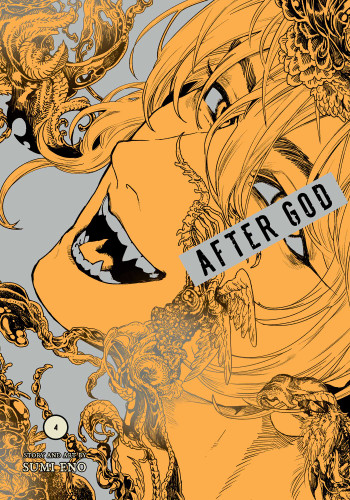 After God, Vol. 4 (After God) book cover by Sumi Eno