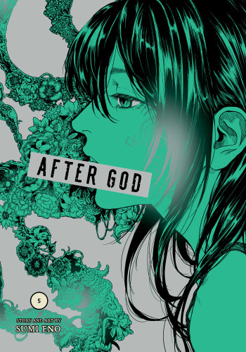 After God, Vol. 5 (After God) book cover by Sumi Eno