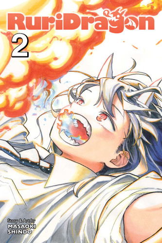RuriDragon, Vol. 2 (RuriDragon) book cover by Masaoki Shindo