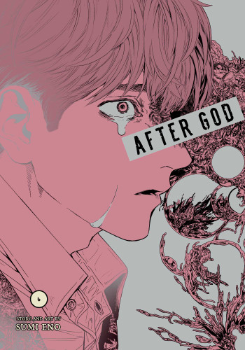 After God, Vol. 6 (After God) book cover by Sumi Eno