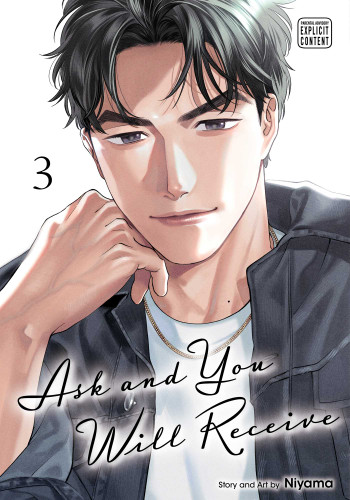 Ask and You Will Receive, Vol. 3 (Ask and You Will Receive) book cover by Niyama