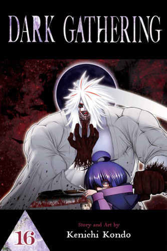 Dark Gathering, Vol. 16 (Dark Gathering) book cover by Kenichi Kondo