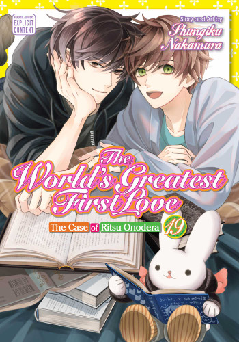 The World's Greatest First Love, Vol. 19: The Case of Ritsu Onodera (The World's Greatest First Love) book cover by Shungiku Nakamura