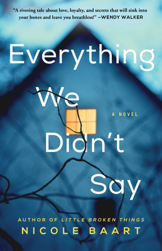 Everything We Didn't Say: A Novel book cover by Nicole Baart