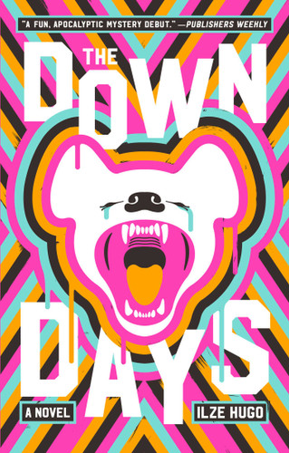 The Down Days: A Novel book cover by Ilze Hugo
