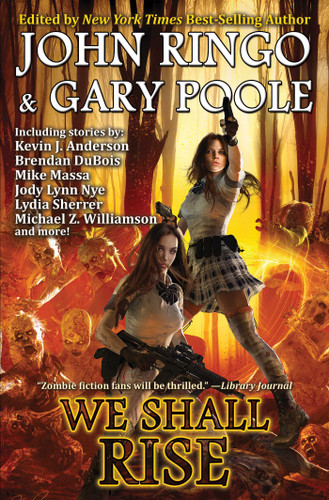 We Shall Rise (Black Tide Rising) book cover by 