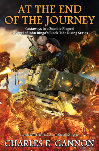 At the End of the Journey (Black Tide Rising) book cover by Charles E. Gannon