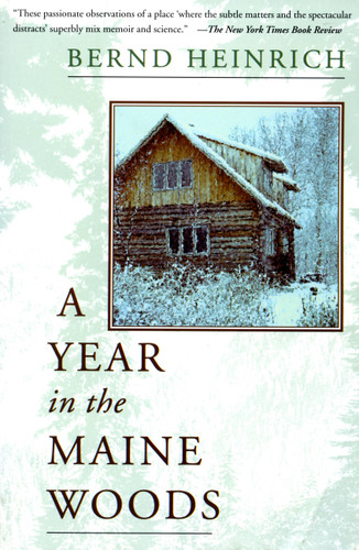 A Year In The Maine Woods book cover by Bernd Heinrich