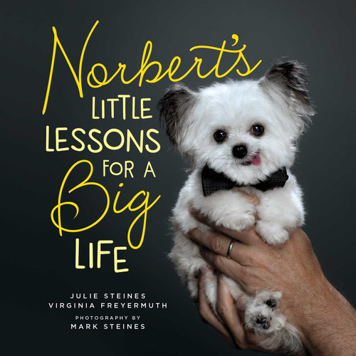 Norbert's Little Lessons for a Big Life book cover by Julie Steines, Virginia Freyermuth