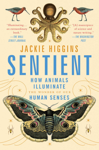 Sentient: How Animals Illuminate the Wonder of Our Human Senses book cover by Jackie Higgins