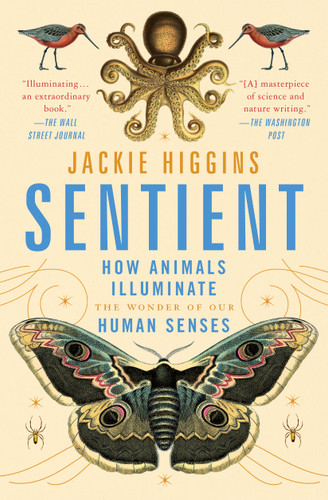 Sentient: How Animals Illuminate the Wonder of Our Human Senses book cover by Jackie Higgins