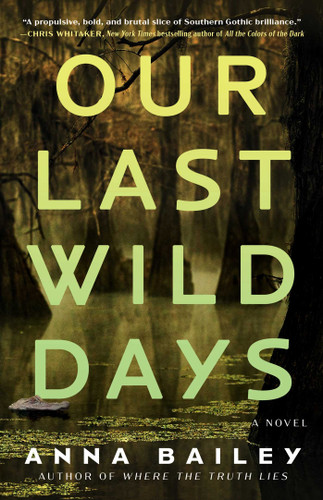 Our Last Wild Days: A Novel book cover by Anna Bailey