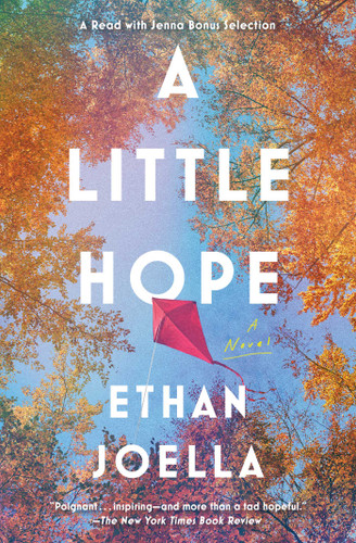 A Little Hope: A Novel book cover by Ethan Joella