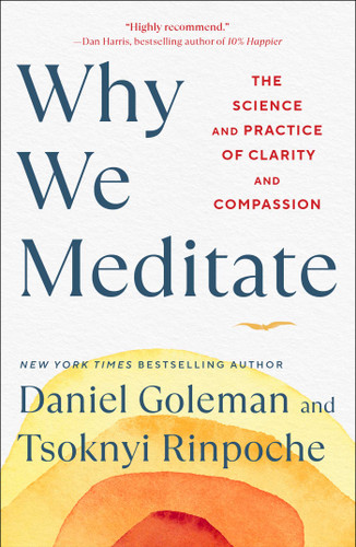 Why We Meditate: The Science and Practice of Clarity and Compassion book cover by Daniel Goleman, Tsoknyi Rinpoche