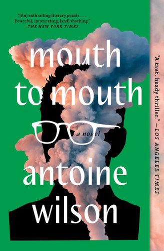 Mouth to Mouth: A Novel book cover by Antoine Wilson