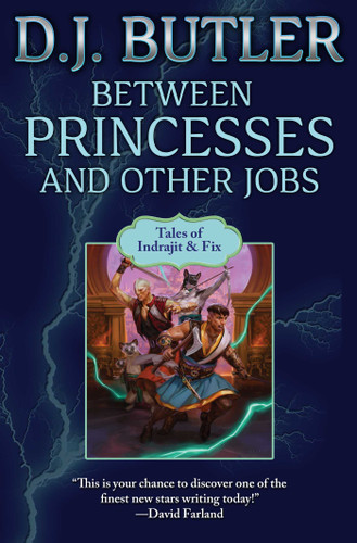 Between Princesses and Other Jobs (Indrajit & Fix) book cover by D.J. Butler