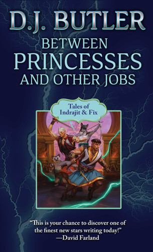 Between Princesses and Other Jobs (Indrajit & Fix) book cover by D.J. Butler