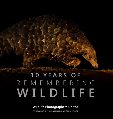 10 Years of Remembering Wildlife (Remembering Wildlife) book cover by Margot Raggett