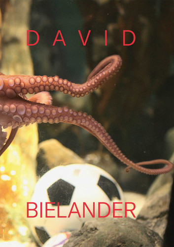 David Bielander: Twenty Years. 2016-1996 book cover by 
