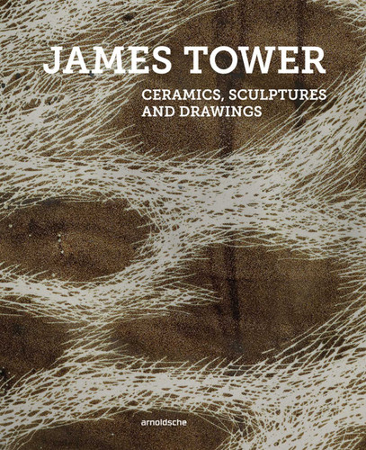 James Tower: Ceramics, Sculptures and Drawings book cover by 