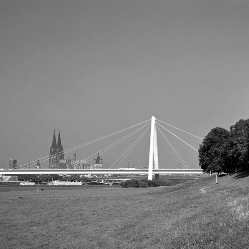 Rhine Bridges book cover by 