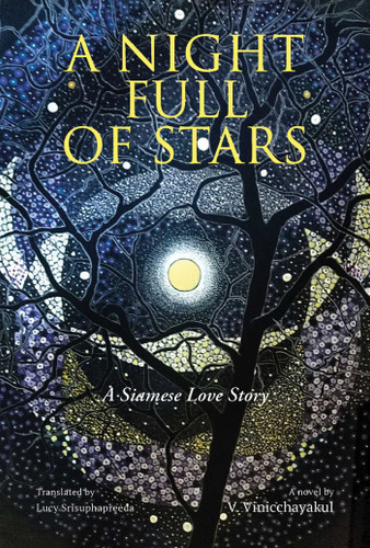 A Night Full of Stars book cover by V. Vinicchayakul